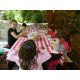 Excursie de o zi la Zarnesti  #childrentour
