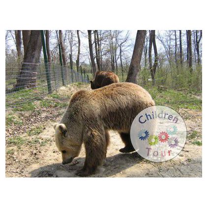 Excursie de o zi la Zarnesti  #childrentour