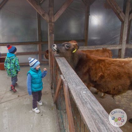 Vizita la Ferma Animalelor #childrentour