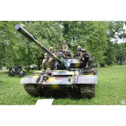 Excursie de 3 zile ARMY TRIP: Arsenal Park Orastie #childrentour