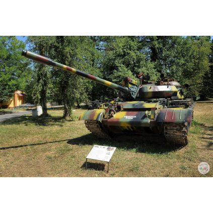Excursie de 3 zile ARMY TRIP: Arsenal Park Orastie #childrentour