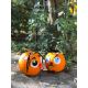 Excursie de Halloween la Ferma Pedagogica Sabareni #childrentour
