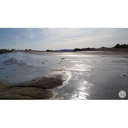 Excursie de o zi la Herghelia Cislau-Tabara de Sculptura Magura-Vulcanii Noroiosi #childrentour