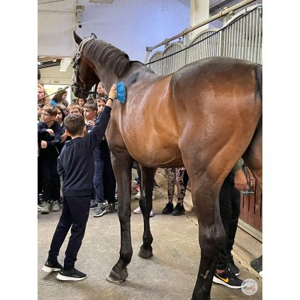 Excursie la Regatul Cailor Varlaam, cu activitati incluse #childrentour