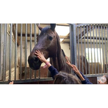 Excursie la Regatul Cailor Varlaam, cu activitati incluse #childrentour