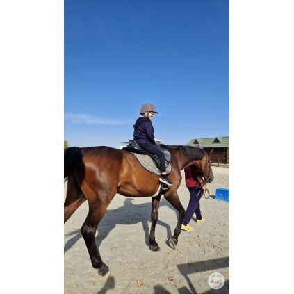 Excursie la Regatul Cailor Varlaam, cu activitati incluse #childrentour