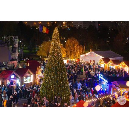 Excursia Sărbătorilor de Iarnă - Regatul de Cleștar - Vila Florilor #childrentour