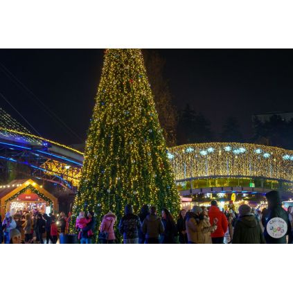 Excursia Sărbătorilor de Iarnă - Regatul de Cleștar - Vila Florilor #childrentour