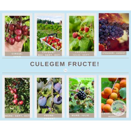 Excursii si activitati pentru Scoala Altfel 2026 #childrentour