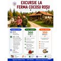 Excursie la Ferma Cocosu Rosu #childrentour
