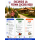 Excursii si activitati pentru Scoala Altfel 2026 #childrentour
