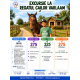 Excursie la Regatul Cailor Varlaam, cu activitati incluse #childrentour